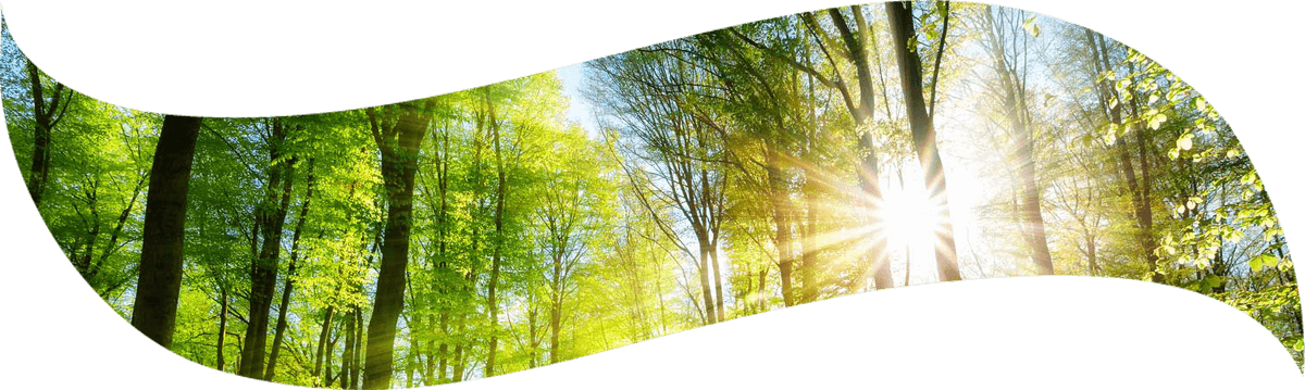 FSC CoC Politikamız